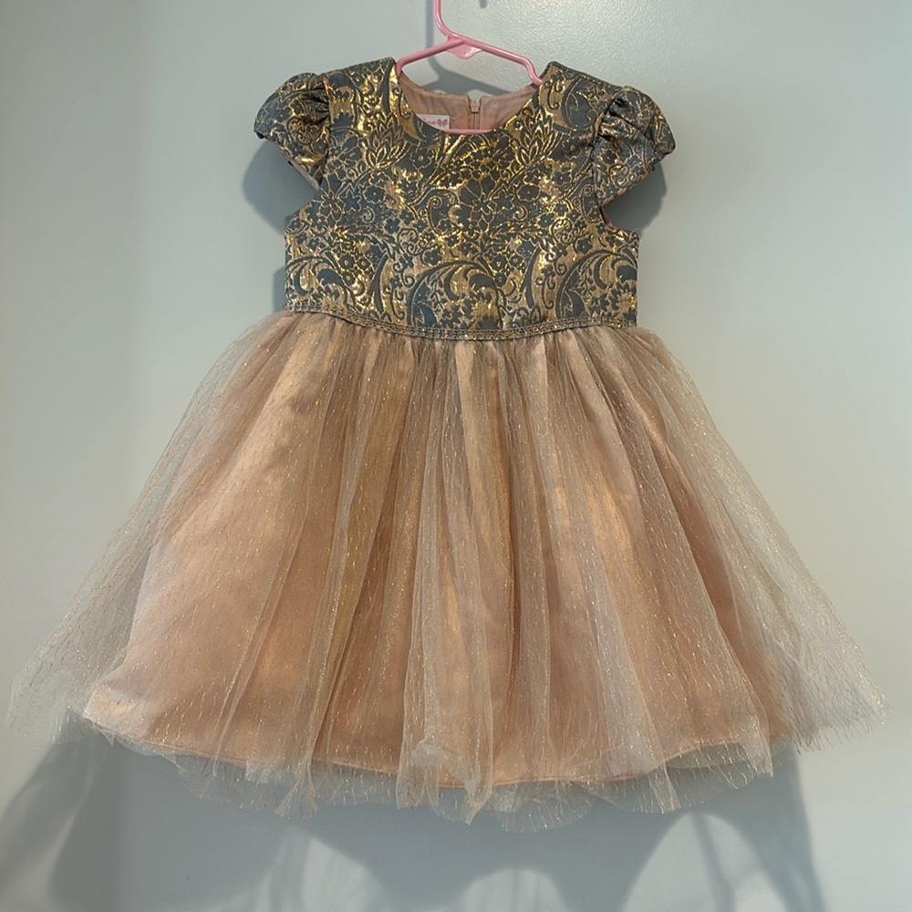 Bonnie Jean Gold and Blush Tulle Formal Dress for Kids